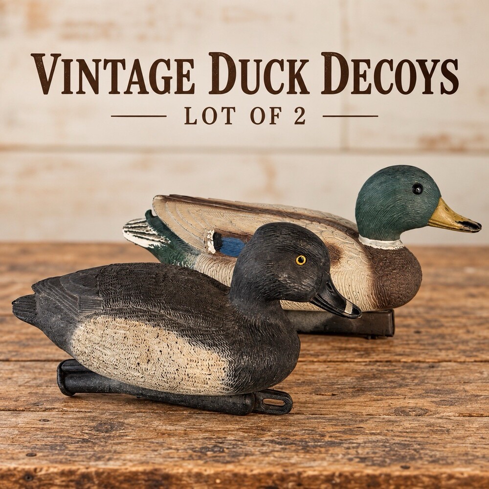 Vintage Carry-Lite Sport Plast Duck Decoy Lot 2 Mallard Ringneck Hunting Decor